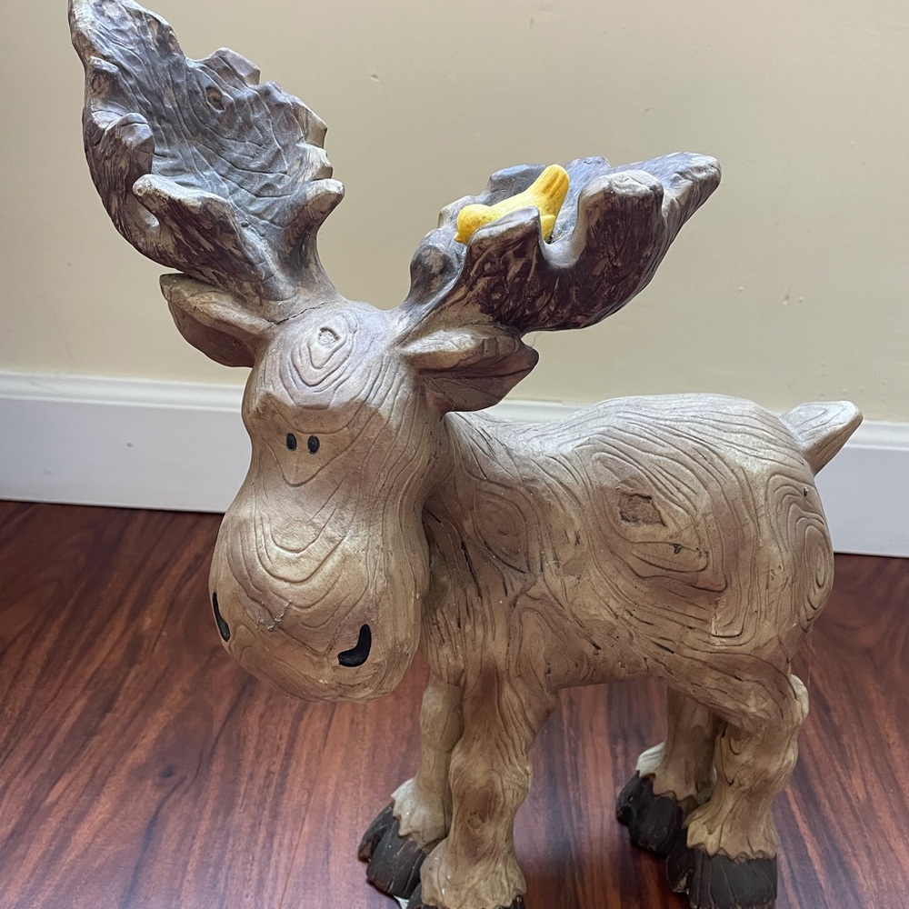 A moose from your Moose! 🤗💕